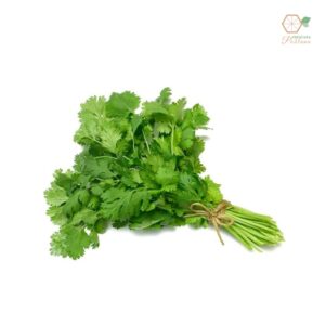 Cilantro manojo