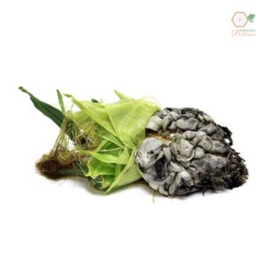 Huitlacoche