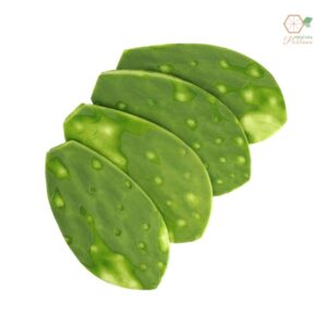 Nopal